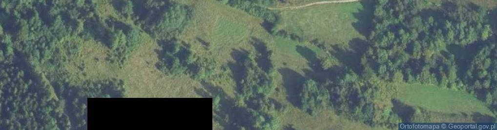 Zdjęcie satelitarne Uroczysko Świniarka