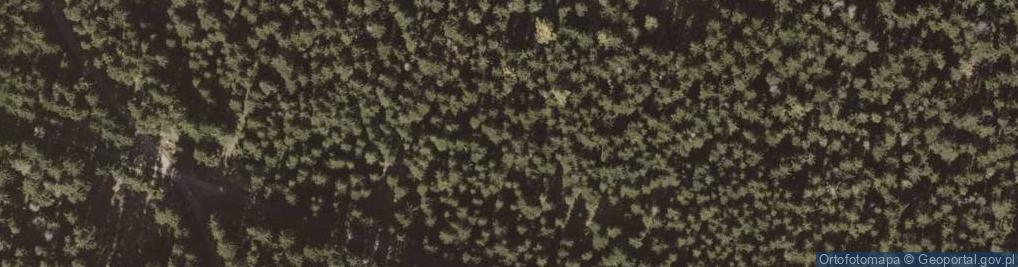 Zdjęcie satelitarne Uroczysko Wąska Łąka
