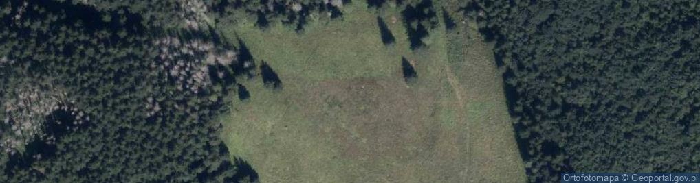 Zdjęcie satelitarne Uroczysko Wyżnia Miętusia Rówień