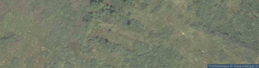 Zdjęcie satelitarne Uroczysko Wzdłużno