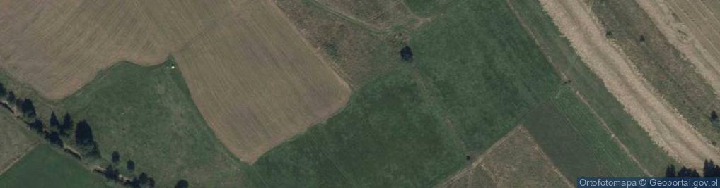 Zdjęcie satelitarne Uroczysko Zadnia Polana