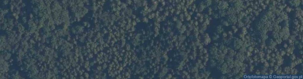 Zdjęcie satelitarne Uroczysko Zamkowa Góra