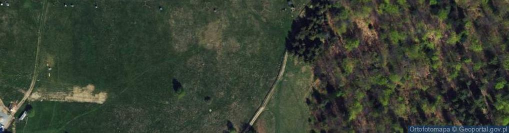Zdjęcie satelitarne Uroczysko Zielona Polana