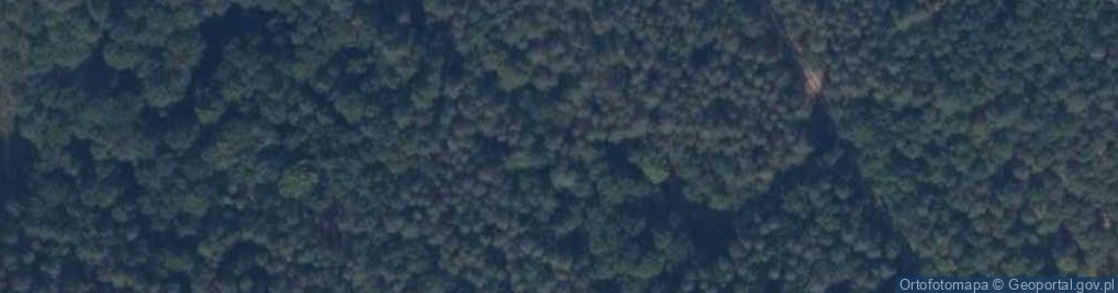 Zdjęcie satelitarne Uroczysko Żołędowskie Lasy