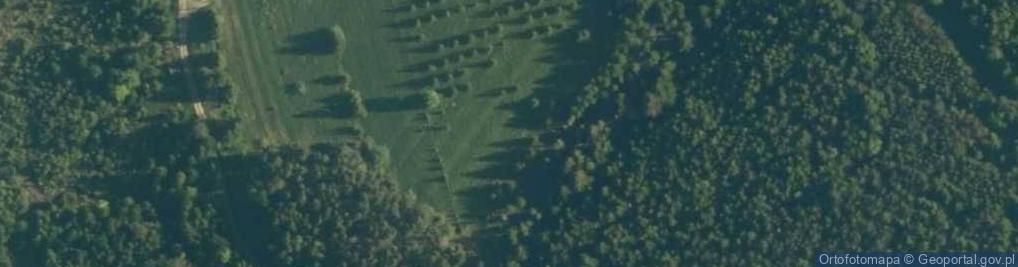 Zdjęcie satelitarne Uroczysko Zosiakowa Polana