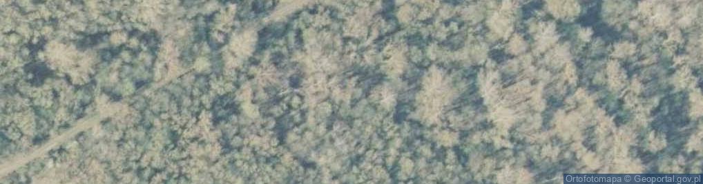 Zdjęcie satelitarne Oddział Celny Drogowy w Terespolu