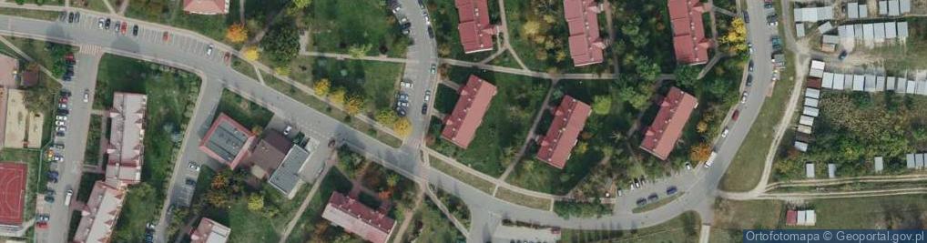 Zdjęcie satelitarne Usługi w Zakresie Wideo Filmowania