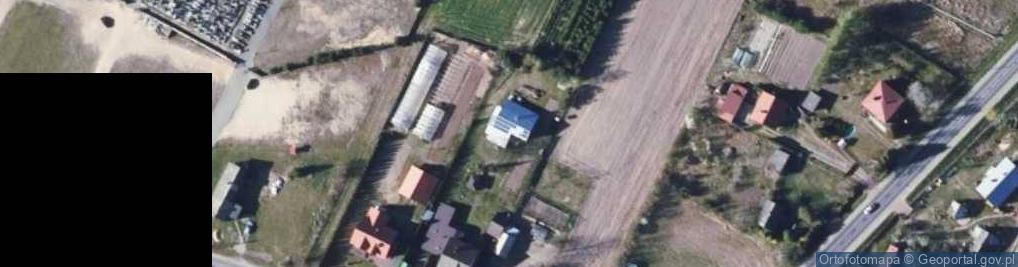 Zdjęcie satelitarne Gabinet Weterynaryjny w Grębkowie