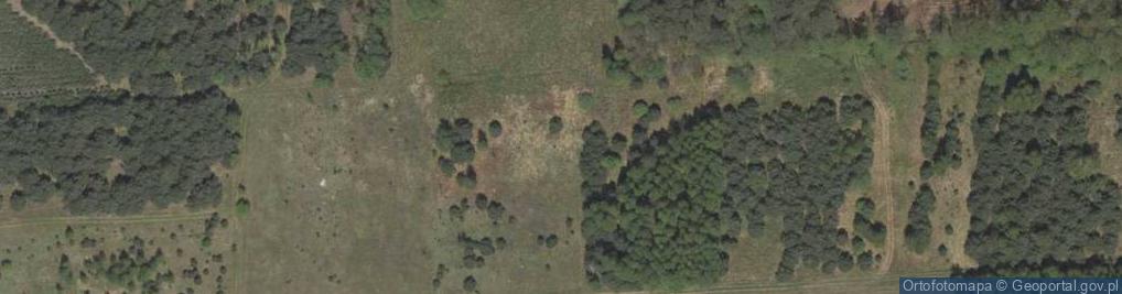 Zdjęcie satelitarne Węzeł 51 Lasy Janowskie