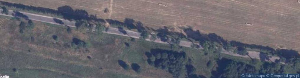 Zdjęcie satelitarne Węzeł Głodowa - Zjazd nr 5 "W BUDOWIE"