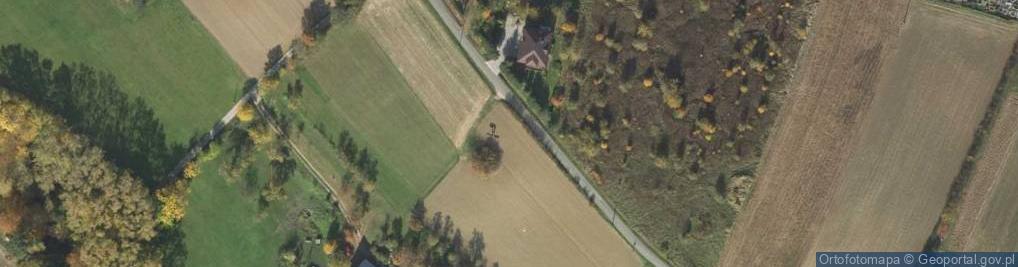 Zdjęcie satelitarne Zabytkowy Wiatrak