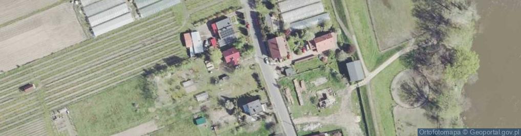 Zdjęcie satelitarne "Winnica Kinga" Kinga Kowalewska-Koziarska
