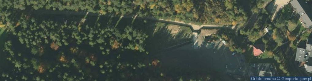 Zdjęcie satelitarne Park Linowy Krynica - Czarny Potok - Fabryka Endorfiny