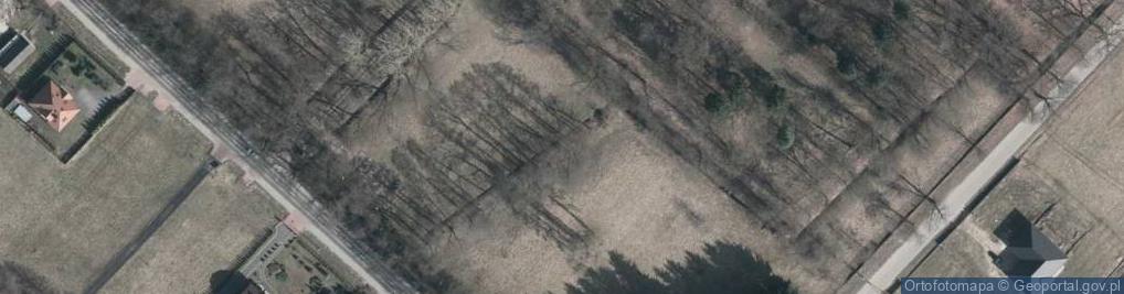 Zdjęcie satelitarne Dwór w Pogorzeli
