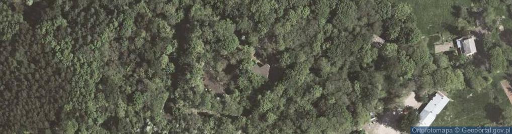 Zdjęcie satelitarne Fort "Winnica"