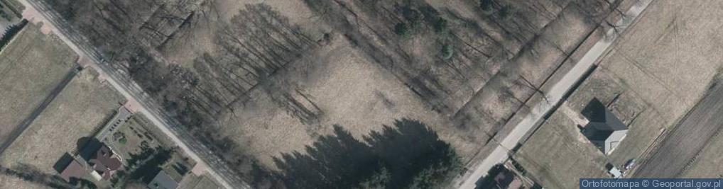 Zdjęcie satelitarne Park zabytkowy