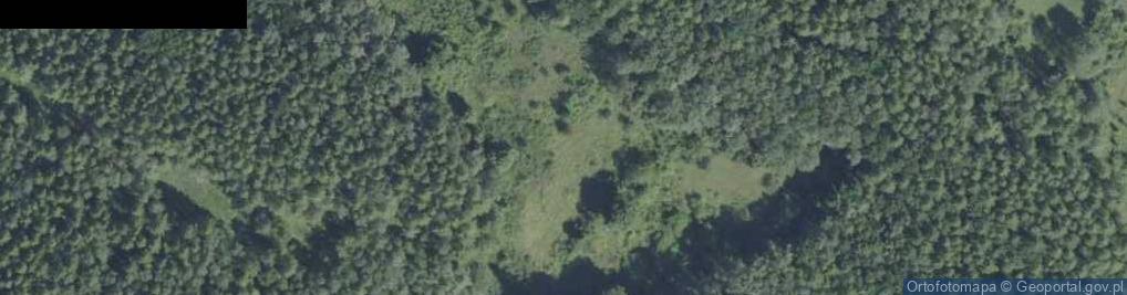 Zdjęcie satelitarne Zamek w Chęcinach