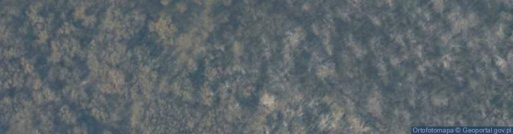 Zdjęcie satelitarne Chełminek
