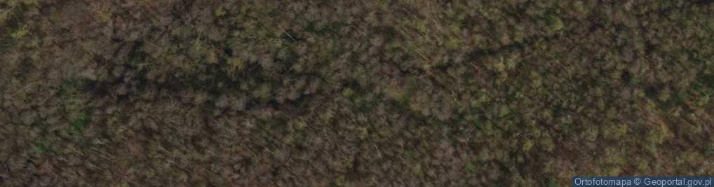 Zdjęcie satelitarne Wyspa Portowa