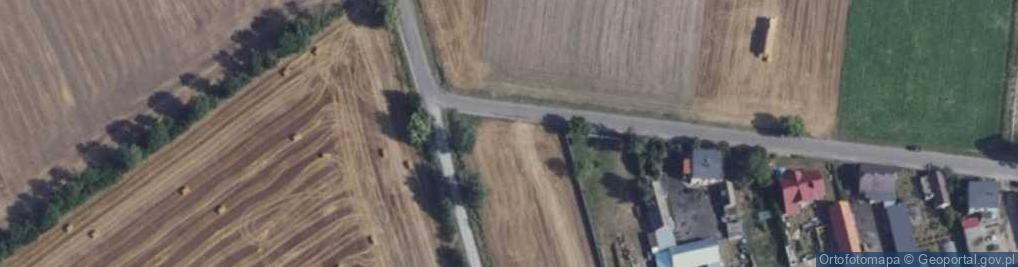 Zdjęcie satelitarne Usługi Krawieckie i Bieliźniarskie Krzyżanowo
