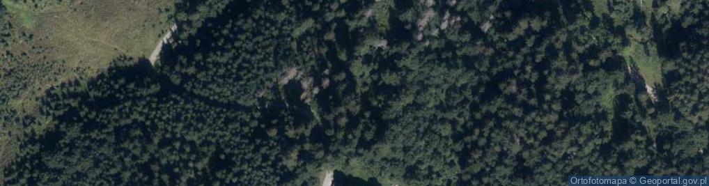 Zdjęcie satelitarne Bracia Albertyni