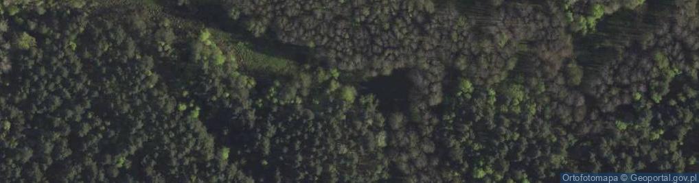 Zdjęcie satelitarne Zanocuj w lesie