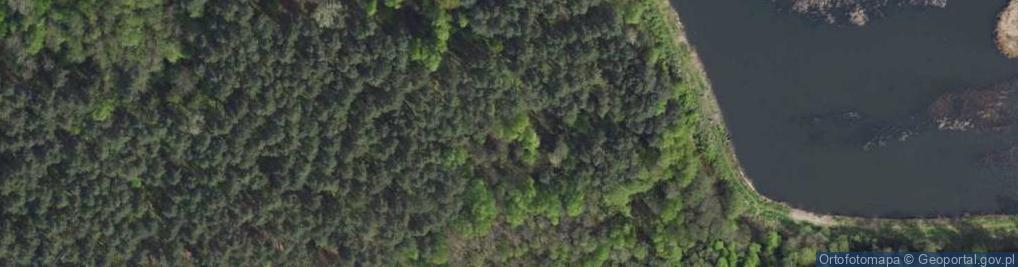 Zdjęcie satelitarne Zanocuj w lesie