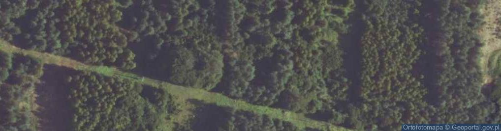 Zdjęcie satelitarne Zanocuj w lesie