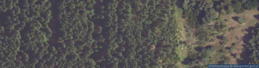 Zdjęcie satelitarne Zanocuj w lesie