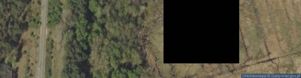 Zdjęcie satelitarne Zanocuj w lesie