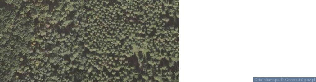 Zdjęcie satelitarne Zanocuj w lesie