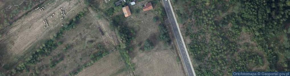 Zdjęcie satelitarne Zanocuj w lesie