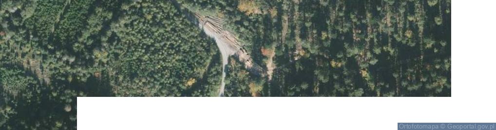 Zdjęcie satelitarne Zanocuj w lesie