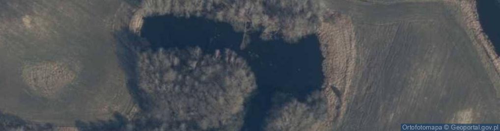 Zdjęcie satelitarne Bagna Czerwieńskiego