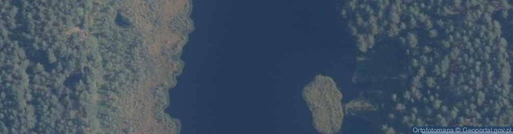 Zdjęcie satelitarne Bagnisko