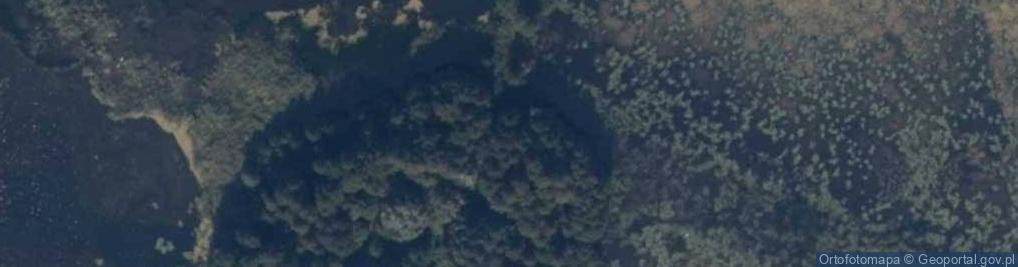 Zdjęcie satelitarne Bagno Mieleńskie