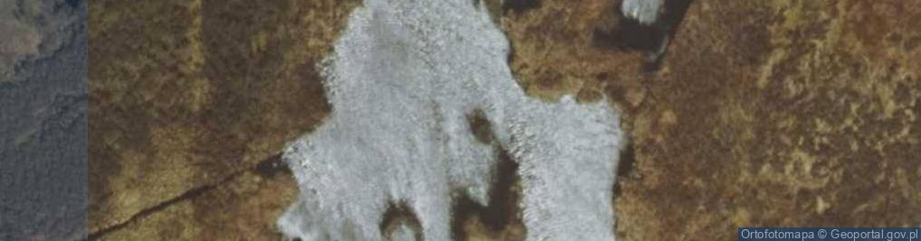 Zdjęcie satelitarne Bagno Nadrowskie