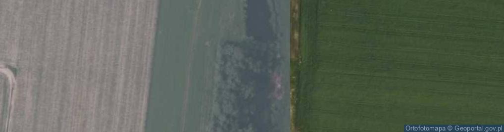 Zdjęcie satelitarne Błotko