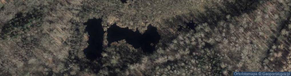 Zdjęcie satelitarne Czarcie Bagno