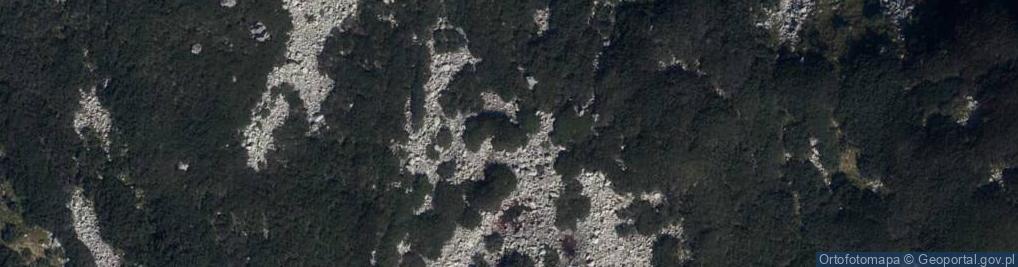 Zdjęcie satelitarne Dwoisty Staw