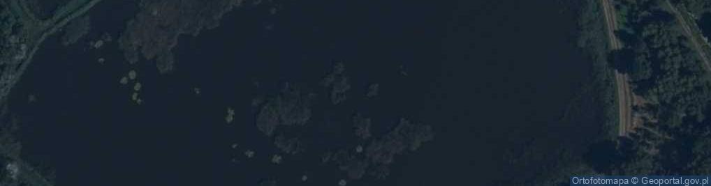 Zdjęcie satelitarne Faworytka