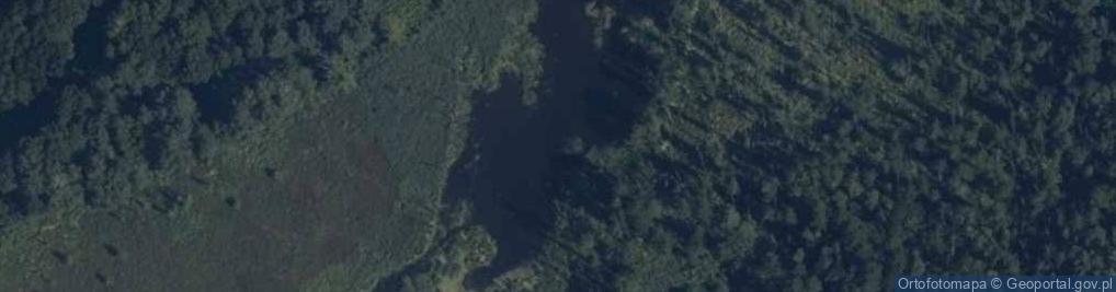 Zdjęcie satelitarne jez. Bilka