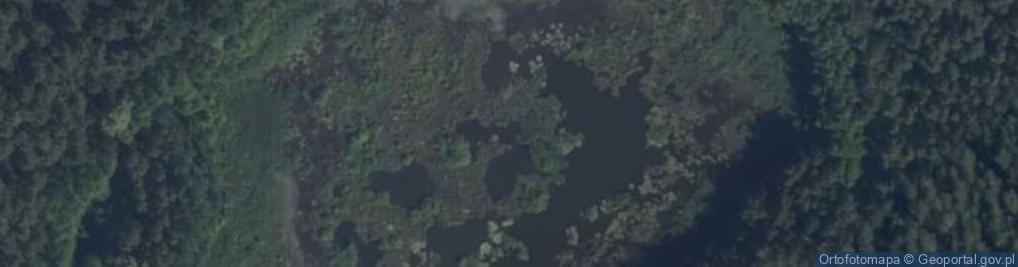Zdjęcie satelitarne jez. Dłużek