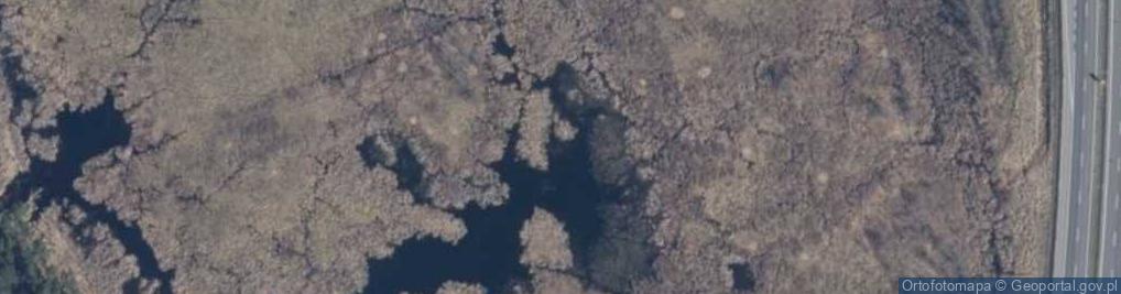 Zdjęcie satelitarne jez. Gniazdowskie Bagna