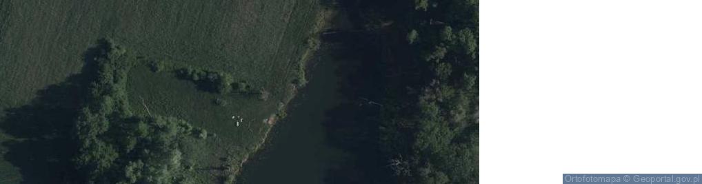Zdjęcie satelitarne jez. Jasieniec