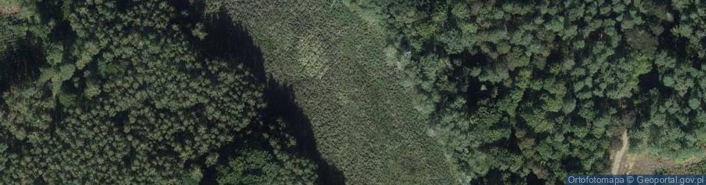 Zdjęcie satelitarne jez. Jeziórca Głęboka