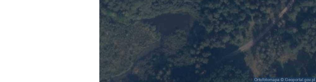Zdjęcie satelitarne jez. Jeziorko