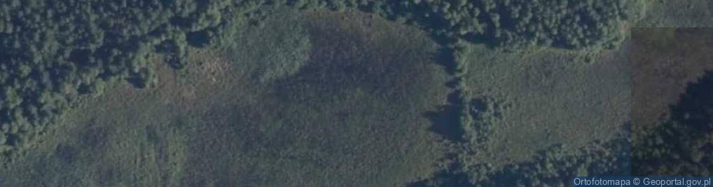 Zdjęcie satelitarne jez. Karaskowe Bagno