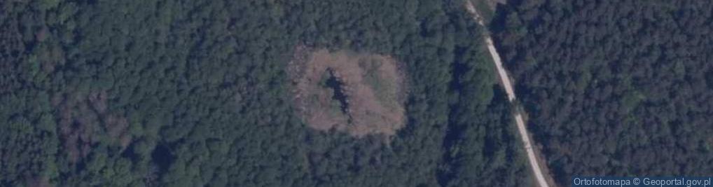 Zdjęcie satelitarne jez. Koknia