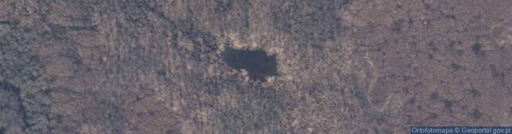 Zdjęcie satelitarne jez. Krzywień